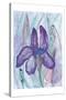 Violet Iris-Beverly Dyer-Stretched Canvas