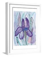 Violet Iris-Beverly Dyer-Framed Art Print