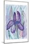 Violet Iris-Beverly Dyer-Mounted Art Print