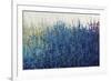 Violet Morning-Tim O'toole-Framed Giclee Print