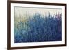 Violet Morning-Tim O'toole-Framed Giclee Print