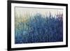 Violet Morning-Tim O'toole-Framed Giclee Print