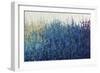 Violet Morning-Tim O'toole-Framed Giclee Print