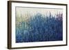 Violet Morning-Tim O'toole-Framed Giclee Print