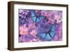 Violet Orchid Morpheus-Alixandra Mullins-Framed Art Print