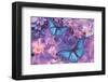 Violet Orchid Morpheus-Alixandra Mullins-Framed Art Print