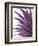 Violet Palms 1-Emma Jones-Framed Giclee Print