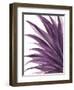 Violet Palms 1-Emma Jones-Framed Giclee Print