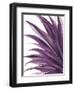 Violet Palms 1-Emma Jones-Framed Giclee Print