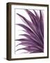 Violet Palms 1-Emma Jones-Framed Giclee Print