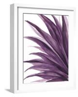 Violet Palms 1-Emma Jones-Framed Giclee Print