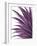 Violet Palms 1-Emma Jones-Framed Giclee Print