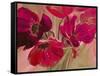 Violet Primavera II-Nelly Arenas-Framed Stretched Canvas