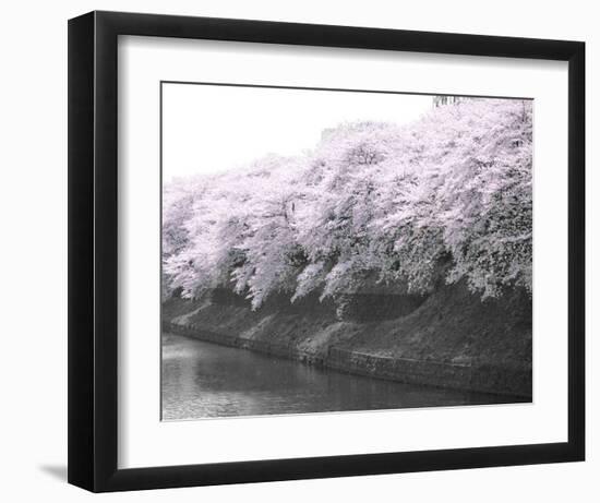 Violet Reflections I-null-Framed Art Print