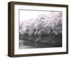 Violet Reflections I-null-Framed Art Print