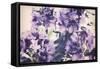 Violet Remembers-Mindy Sommers-Framed Stretched Canvas