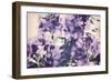 Violet Remembers-Mindy Sommers-Framed Giclee Print