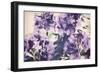 Violet Remembers-Mindy Sommers-Framed Giclee Print
