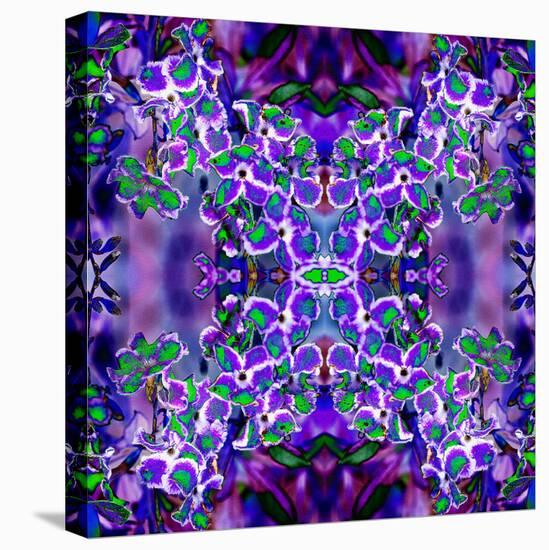 Violet Stars 3-Rose Anne Colavito-Stretched Canvas