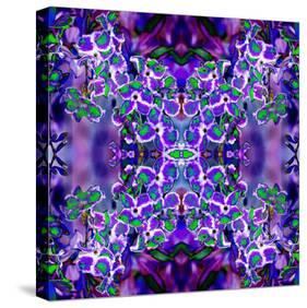 Violet Stars 3-Rose Anne Colavito-Stretched Canvas