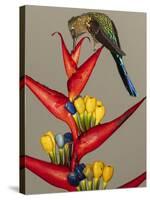 Violet-tailed sylph, Ecuador-Art Wolfe Wolfe-Stretched Canvas