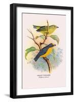 Violet Tanager-Arthur G. Butler-Framed Art Print