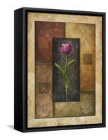 Violet Tulip-Michael Marcon-Framed Stretched Canvas