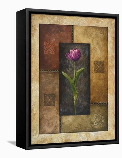 Violet Tulip-Michael Marcon-Framed Stretched Canvas