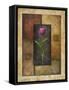 Violet Tulip-Michael Marcon-Framed Stretched Canvas