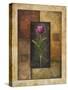Violet Tulip-Michael Marcon-Stretched Canvas