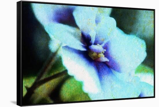 Violet-Andr? Burian-Framed Stretched Canvas