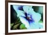 Violet-Andr? Burian-Framed Photographic Print