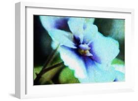 Violet-Andr? Burian-Framed Photographic Print