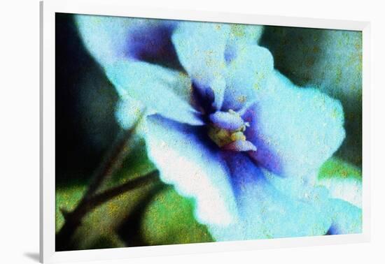 Violet-Andr? Burian-Framed Photographic Print