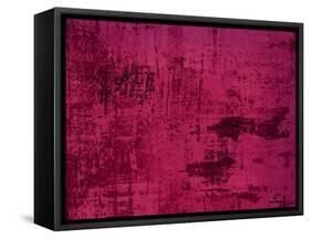 Violet-Anna Polanski-Framed Stretched Canvas