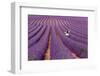 Violet-Massimo Della Latta-Framed Photographic Print