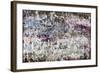 Violete Sky Drops-Alexys Henry-Framed Giclee Print