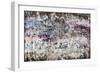 Violete Sky Drops-Alexys Henry-Framed Giclee Print