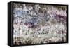 Violete Sky Drops-Alexys Henry-Framed Stretched Canvas