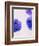 Violets, Blossoms, Violet, Blue, Viola Odorata-Axel Killian-Framed Photographic Print