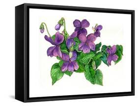 Violets Bunny-Wendy Edelson-Framed Stretched Canvas