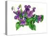 Violets Bunny-Wendy Edelson-Stretched Canvas