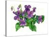 Violets Bunny-Wendy Edelson-Stretched Canvas