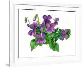 Violets Bunny-Wendy Edelson-Framed Giclee Print