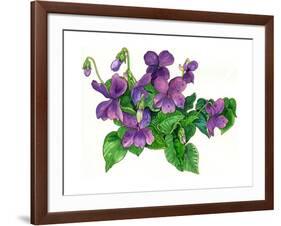 Violets Bunny-Wendy Edelson-Framed Giclee Print