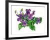 Violets Bunny-Wendy Edelson-Framed Giclee Print