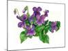 Violets Bunny-Wendy Edelson-Mounted Giclee Print