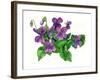 Violets Bunny-Wendy Edelson-Framed Giclee Print