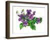 Violets Bunny-Wendy Edelson-Framed Giclee Print