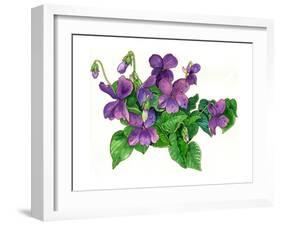 Violets Bunny-Wendy Edelson-Framed Giclee Print